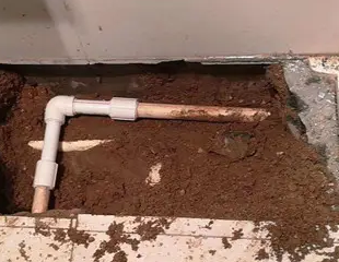 清水测漏水哪家好